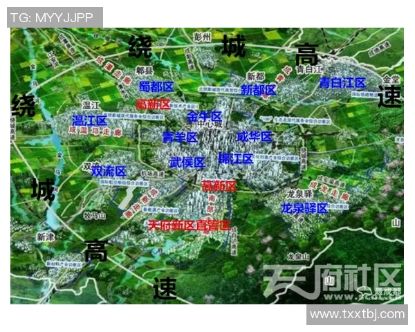赛后分析：西安篮球队与重庆篮球队的速度对决全景回顾