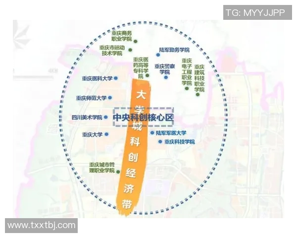 重庆乒乓球队的崛起与发展探秘聚焦力量与未来潜力分析 重庆乒乓球队的崛起与发展探秘聚焦力量与未来潜力分析