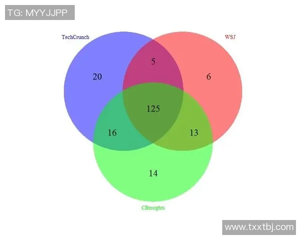 重庆排球队实力深度剖析与对比探讨全景分析