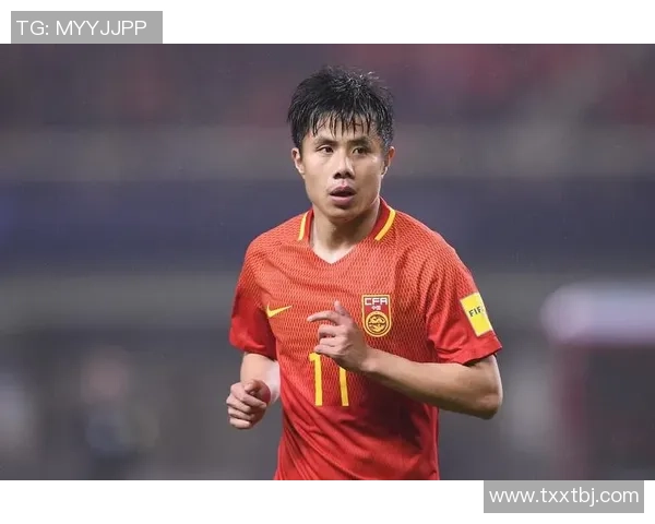 武汉排球队的拼搏之路：从默默无闻到荣耀巅峰的奋斗故事